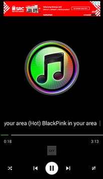 BLACKPINK screenshot 2
