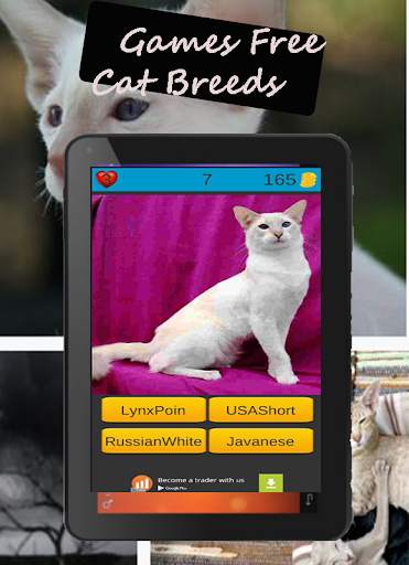 Cat Breeds: Cat Games screenshot 15
