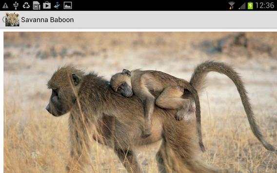 Mammals of SA Lite screenshot 5