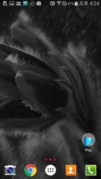 Live WallPaper music player screenshot 4