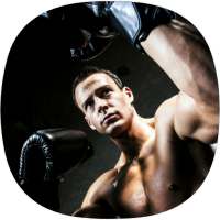 Boxing Lessons Guide