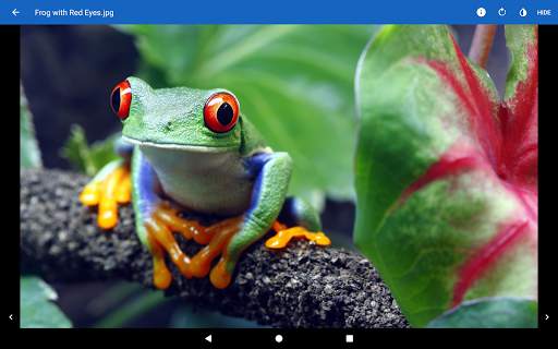 File Viewer for Android screenshot 18