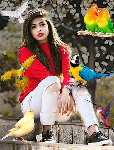 Birds Photo frame : Bird photo editor screenshot 6