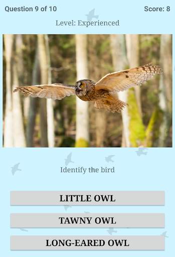 British Birds ID Quiz Pro screenshot 11