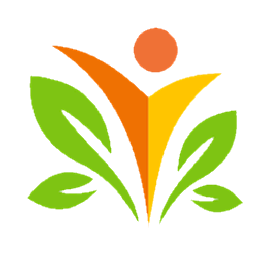 BN Browser icon