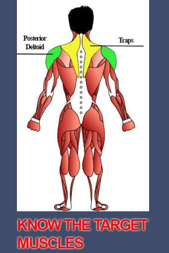 3d bodybuilding workouts - 3d gym game screenshot 4