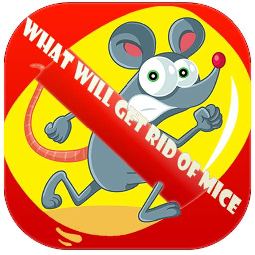 Mice In House 🇬🇧 1.1