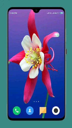 Flower Wallpaper Ultra HD 4K screenshot 9