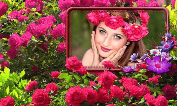 Garden Photo Frames скриншот 3