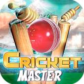 Cricket Master T-20 Cricket League 2021 1.0