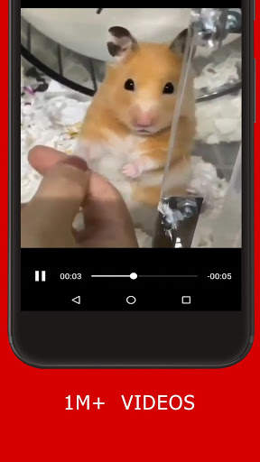 ShareVideo - Video Status For Share , Chat screenshot 3