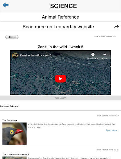 Leopard.tv Wildlife Magazine screenshot 3