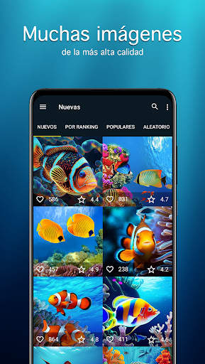 Fondos de pantalla con pez 4K screenshot 2