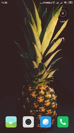Pineapple Wallpaper screenshot 16
