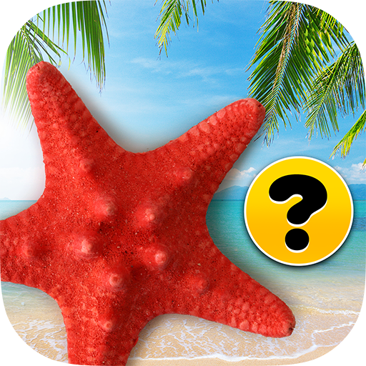 เกมหน่วยความจำ - ของเล่นพัฒนาสมอง - บีช icon