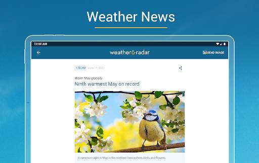Weather & Radar - Storm radar screenshot 16
