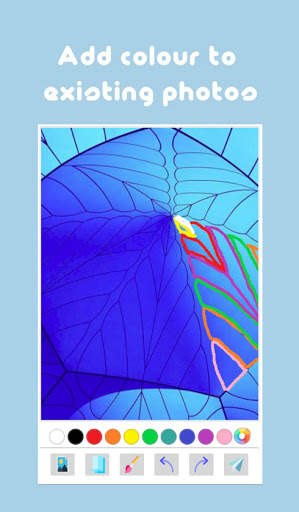 Draw - Sketch and Paint screenshot 3