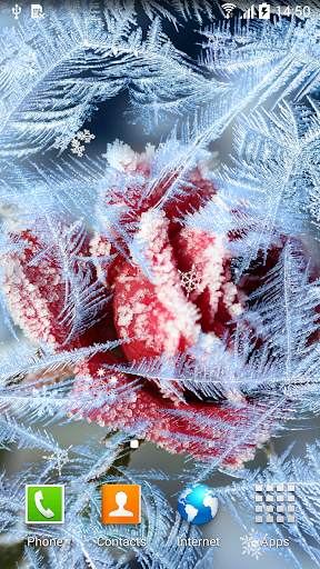 Winter Flowers Live Wallpaper screenshot 1
