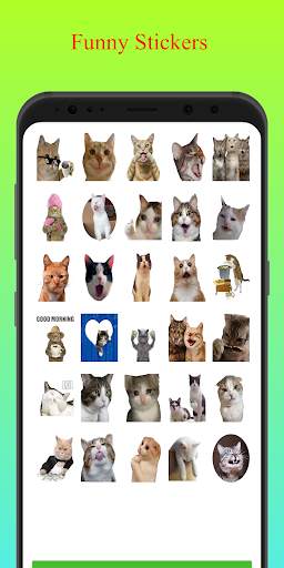 Funny Cat Stickers - WASticker screenshot 3