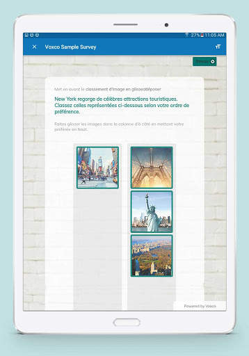 Voxco Mobile Offline screenshot 7