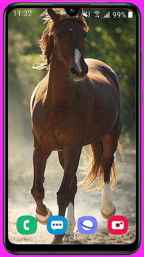 Horse Wallpaper Best HD screenshot 3