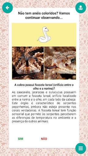 Serpentes de Minas Gerais screenshot 3