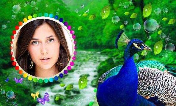 Peacock Photo Frames HD screenshot 3