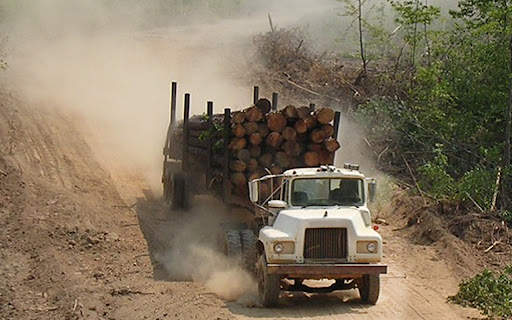 Long Truck Driving Simulator screenshot 3