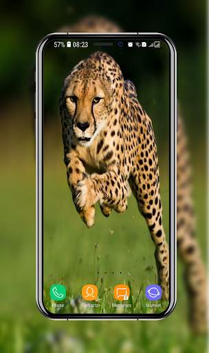 New Cheetah Wallpapers screenshot 13