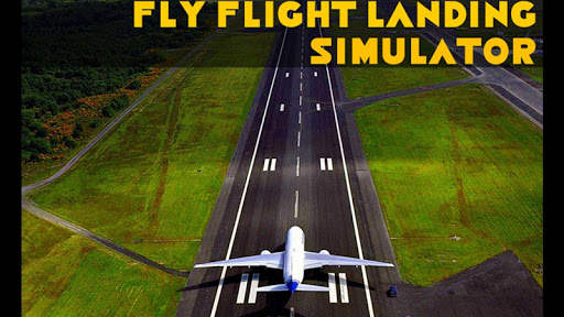 Fly Flight Landing Simulator screenshot 1
