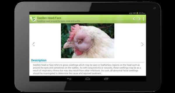 Poultry Disease App (NG) screenshot 15