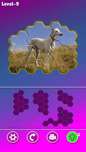 Hexa Jigsaw - Dogs jigsaw puzzle game screenshot 5