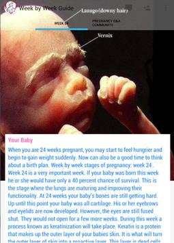 Pregnancy Stages screenshot 13
