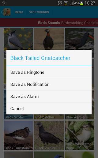 North American Birds Free screenshot 7