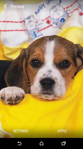 Beagle Live Wallpaper screenshot 1