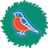 Crazy Bird Puzzle 1.0