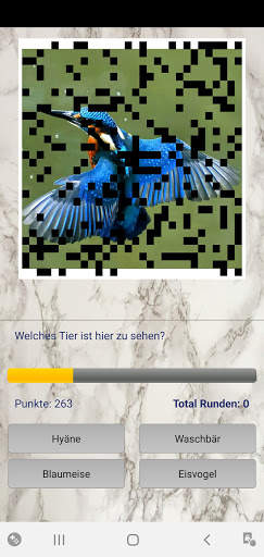 Foto Quiz screenshot 3