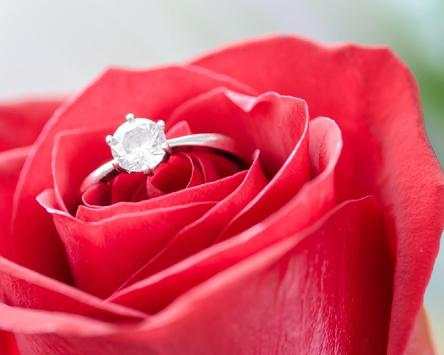 3D True Love Red Rose Themes Wallpapers screenshot 5