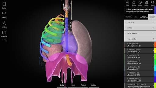 Anatomyka - Anatomia 3D screenshot 15