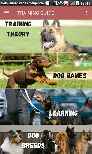 Dog Training Guide Offline screenshot 14
