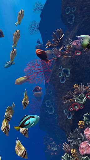 OCEAN AQUARIUM Live Wallpaper FREE screenshot 22