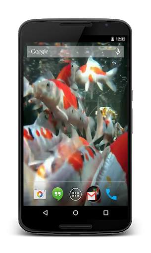 Koi HD Video Live Wallpaper screenshot 2