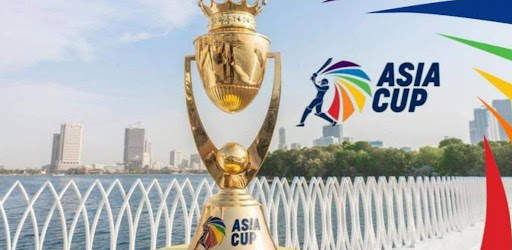 Live Cricket - World Cup 2023 screenshot 8