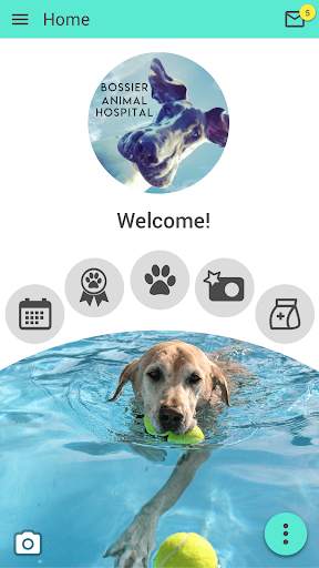 Bossier Animal Hospital screenshot 1