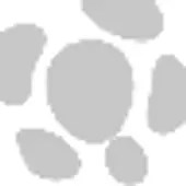 Csronline icon