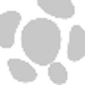 Csronline 1