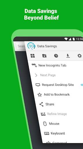 Puffin Cloud Browser screenshot 2