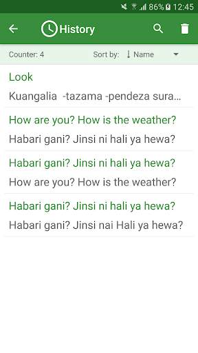 Swahili - English Translator screenshot 4