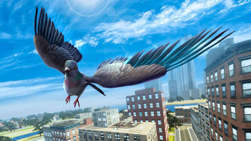 City Bird Pigeon Simulator 3D screenshot 1