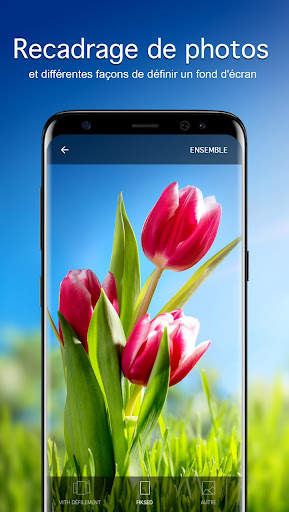 Tulipes Fonds d'écran 4K screenshot 3